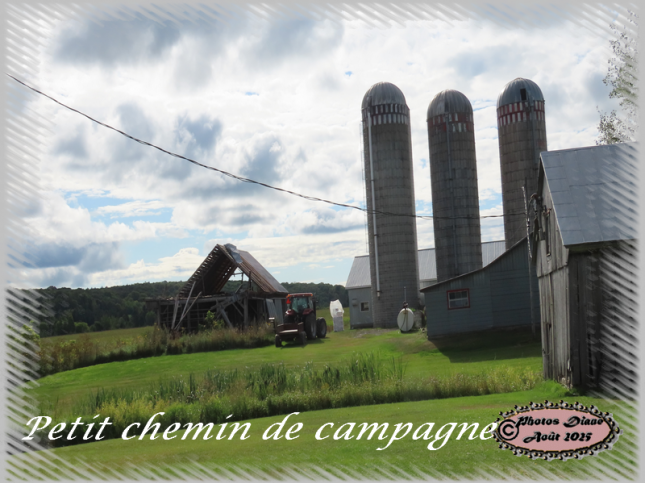 IMG_7785_petit_chemin_campagne